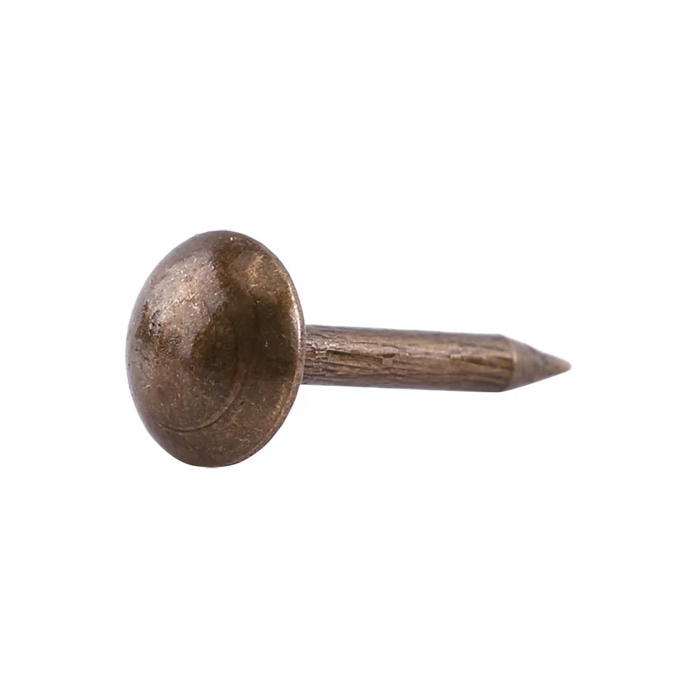 100Pz Generico Rotondo a Testa Larga Chiodo, Liscio/Margherita/Quadrato/Prugna Chiodo per il Pacchetto di Decorazione del Sofà(Liscio 6 × 14 mm)